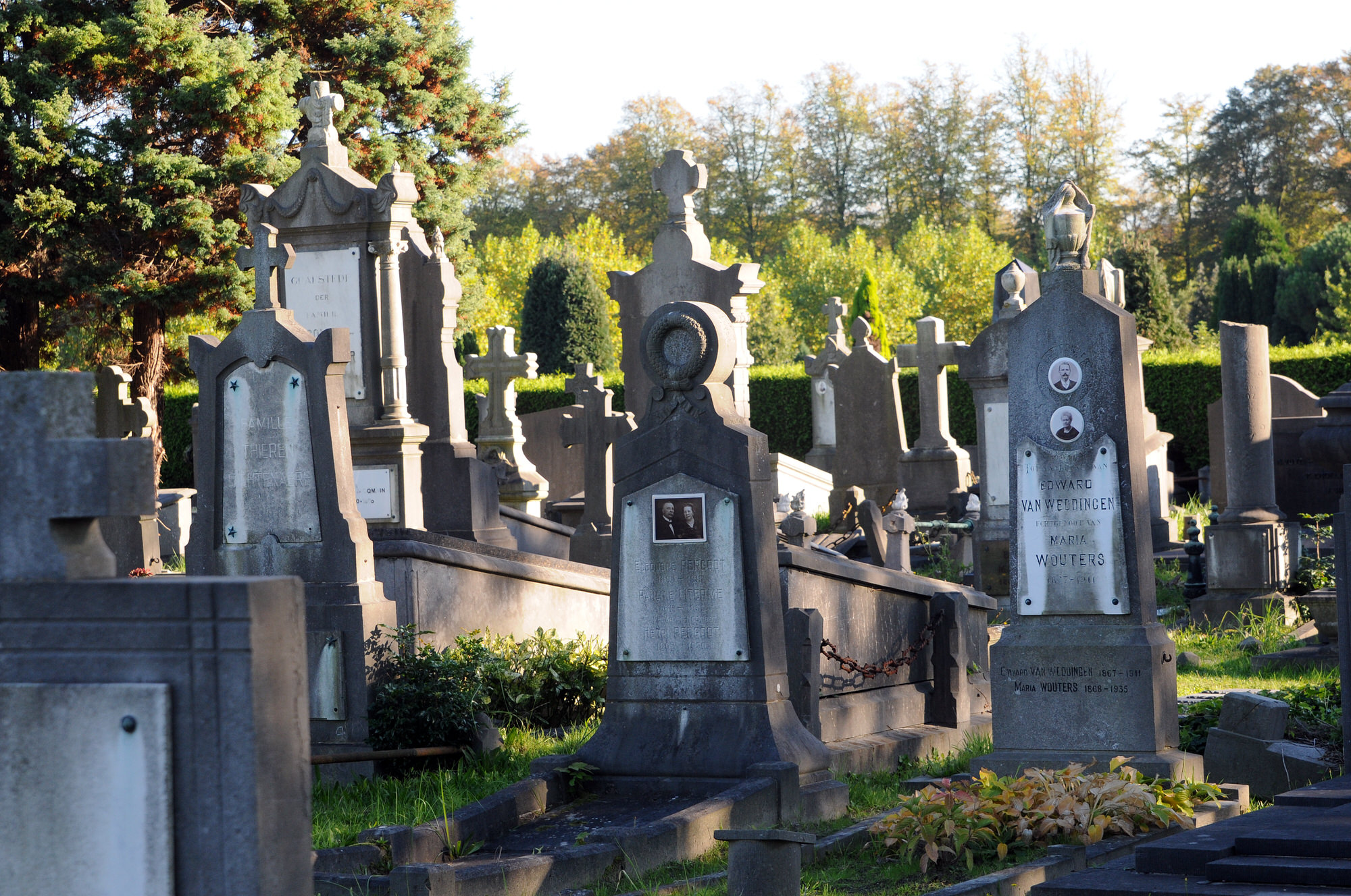 Le cimetière de Parc Schoonselhof
