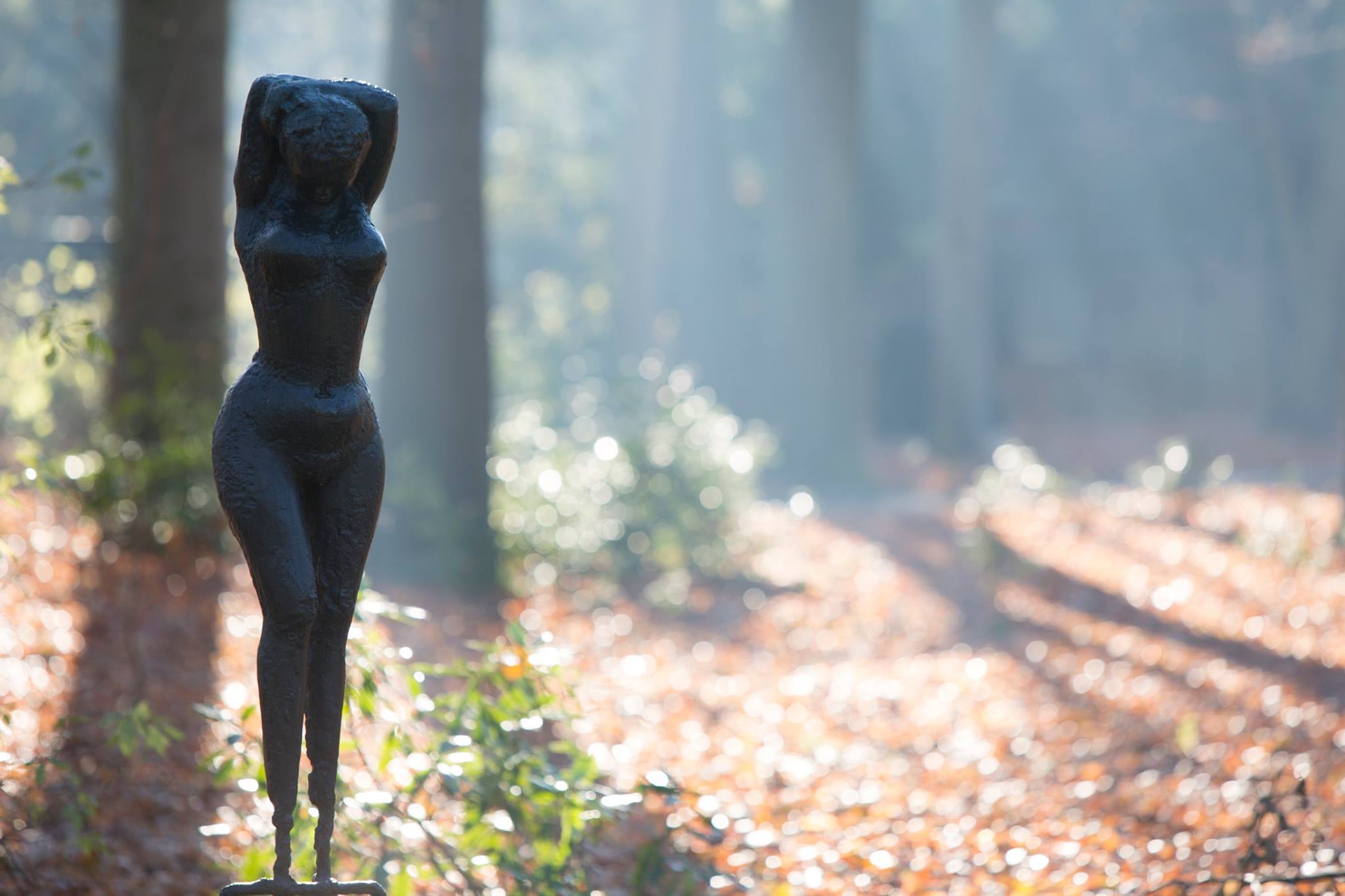 Les sculptures d’artistes belges