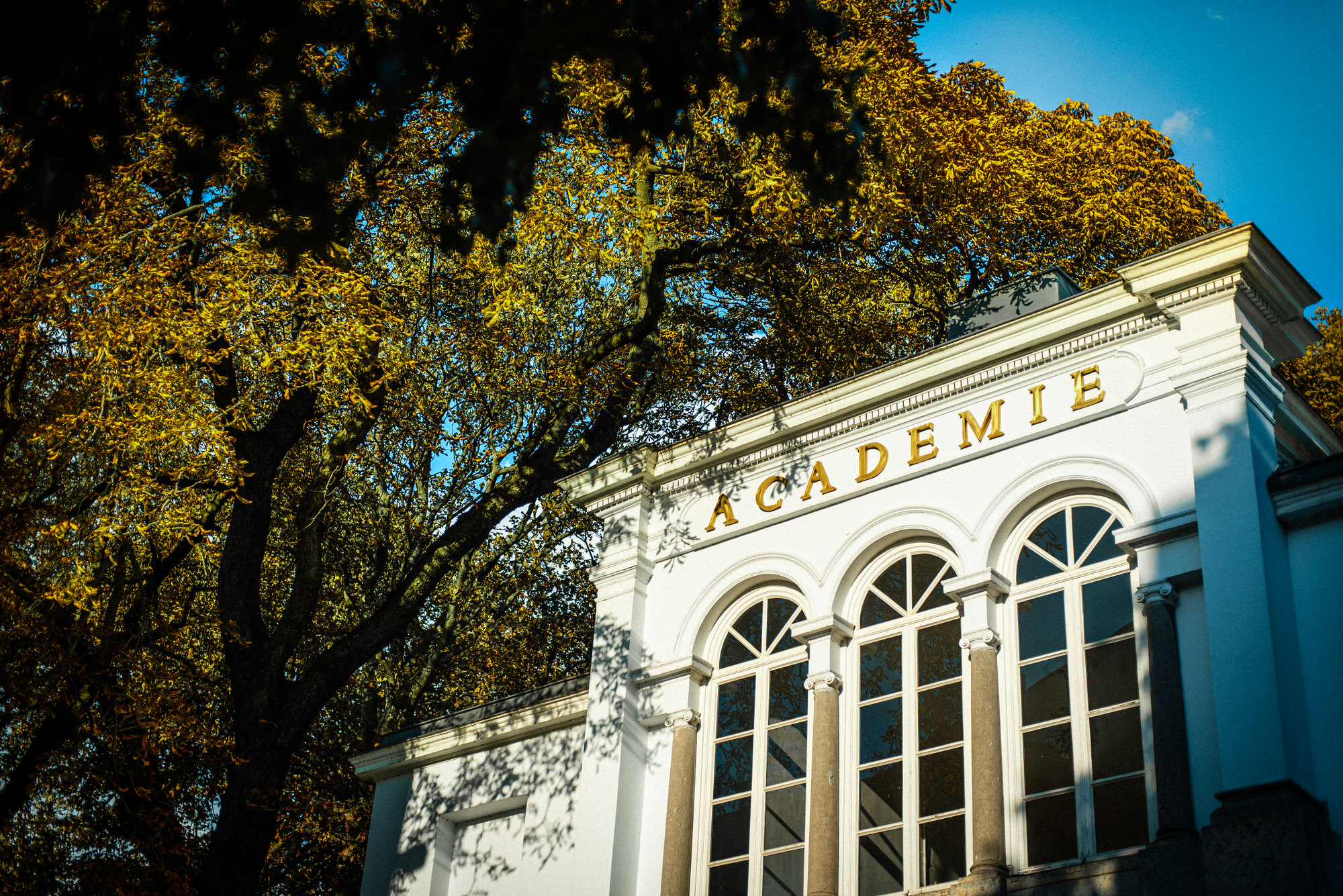 Spuren der Akademie in Antwerpen