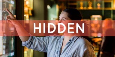 (Hidden) DIVA: A brilliant story