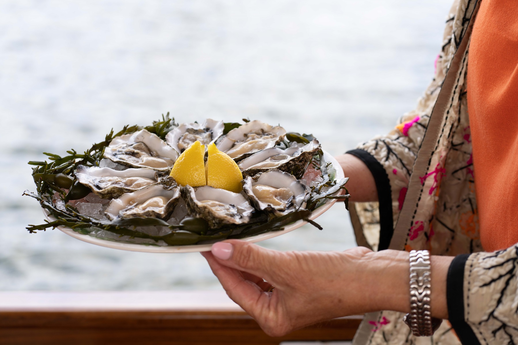 Luxury oyster cruise